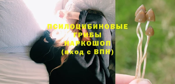 прущая мука Верея
