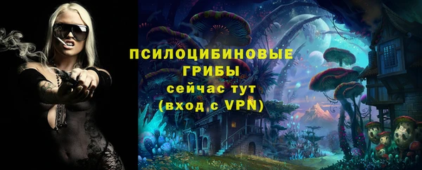 прущая мука Верея