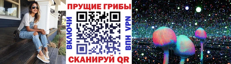 Псилоцибиновые грибы Psilocybine cubensis  цены   Горбатов 